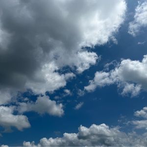 Meet your Posher, Lexi